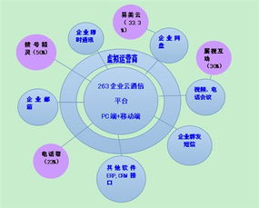 二六三 瞄準(zhǔn)未來(lái)，鑄就企業(yè)互聯(lián)網(wǎng)通信與信息服務(wù)王牌